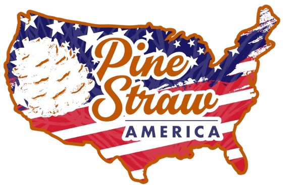Pinestraw America